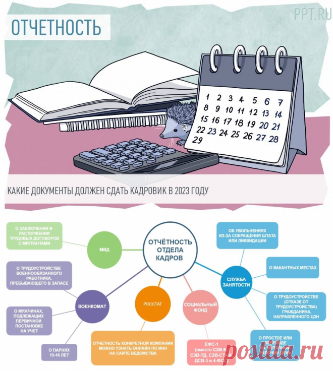 Какие отчеты и куда сдает отдел кадров в 2023 году