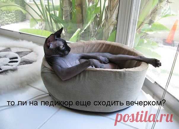 Мой Мир@Mail.Ru