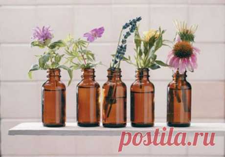 Настойки, которые должны быть в домашней аптечке
Срочно «заправь» свою аптечку
1. Настойка перцовая ( на красном жгучем перце). Применяется наружно, как раздражающее и отвлекающее средство для растирания при невралгиях, радикулитах, миозитах…