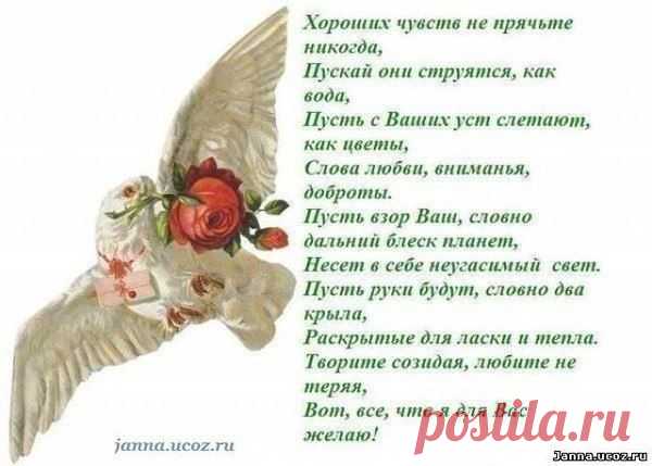 Интересные новости