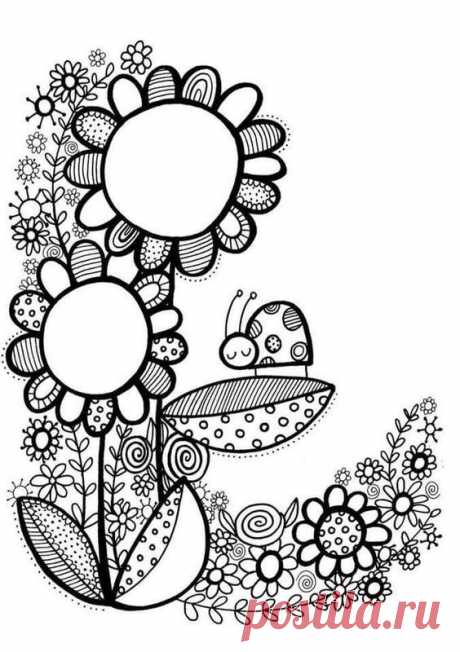 (278) Pinterest