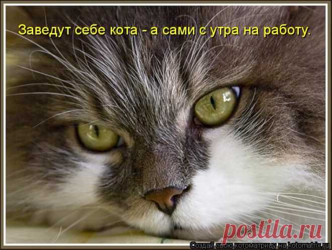 Фотоподборка смешных животных - всем смеяться!