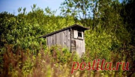 Туалет, вода, картошка... полный перечень того, за что могут оштрафовать дачника
Дача может быть не только источником свежих овощей и ягод, отдушиной и местом сбора родных и друзей, но и местом, которое принесет дополнительные расходы, если нарваться на штрафные санкции.
…