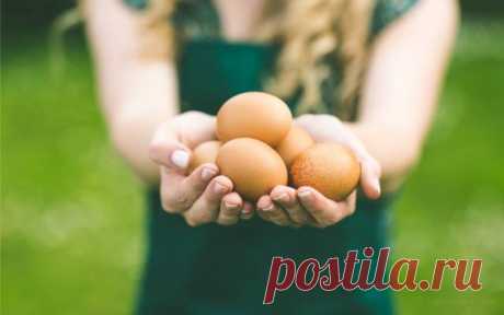 5 продуктов, которые работают как препараты для снижения веса — Гармония в тебе