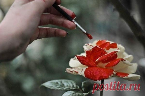 В любых делах при максимуме сложностей Подход к проблеме все-таки один: Желанье — это множество возможностей, А нежеланье — множество причин. Эдуард Асадов