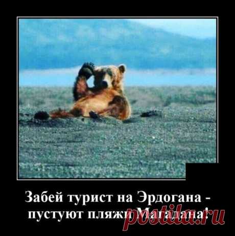 Демотиваторы дня. Шикардятина! / Писец - приколы интернета