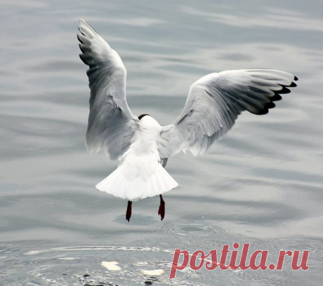 Владимир — «IMG_1315.JPG» на Яндекс.Фотках