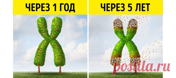 10 вещей, которые происходят с вашим телом, когда вы сидите по 8 часов в день