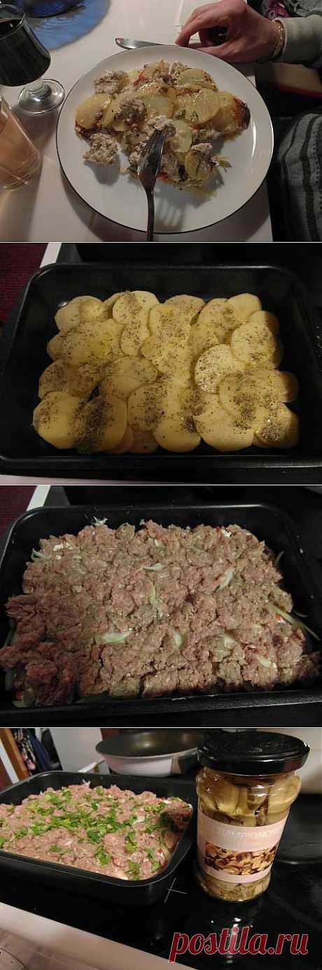 2 быстрых блюда из одних и тех же продуктов - запеканка и заморозка из фарша и картофеля | 4vkusa.ru