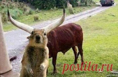 Chassomaniak - Timeline Photos