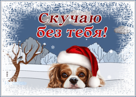 Открытка скучаю без тебя с трогательной собачкой