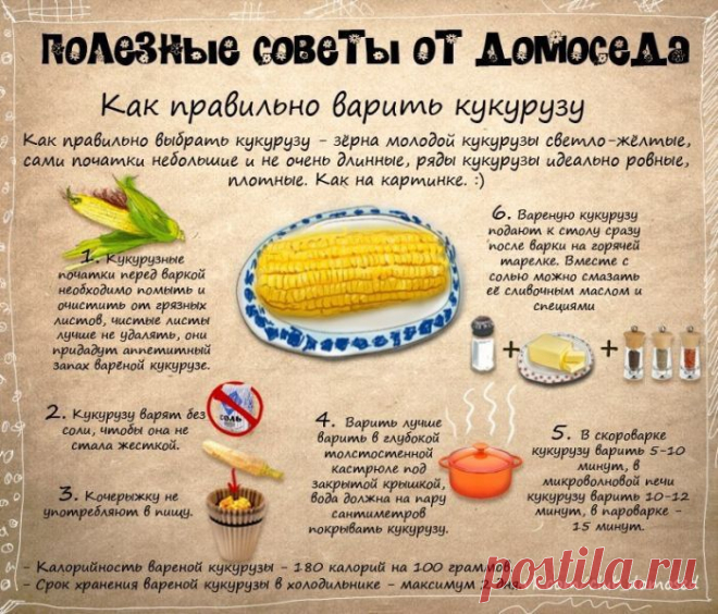 Как правильно варить кукурузу