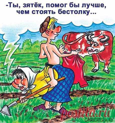 Интересные новости