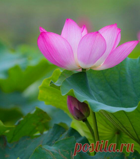 Редактировать описание