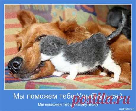 УЛЫБАЙСЯ...