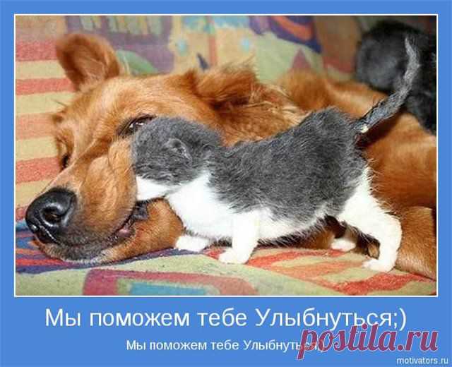 УЛЫБАЙСЯ...