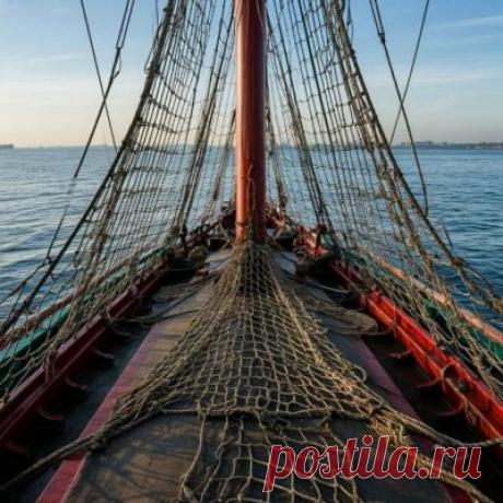 Что означает фраза «Spinnst du?» — Изучаем немецкий язык онлайн