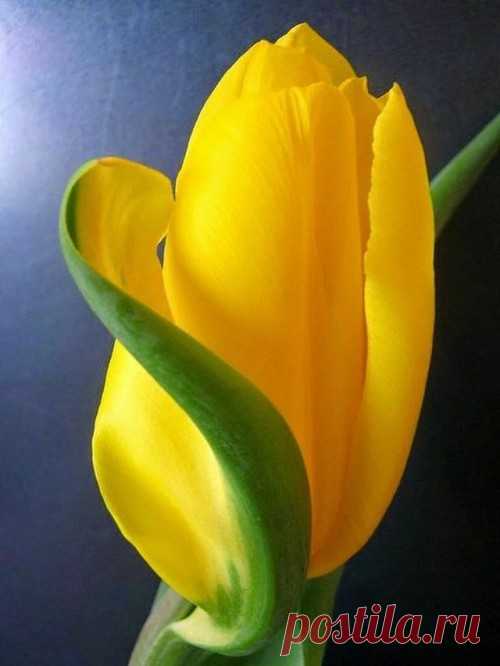 HAVE A NICE DAY