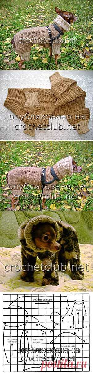 Вязаный костюм для собачки - Вязание Крючком. Блог Настика