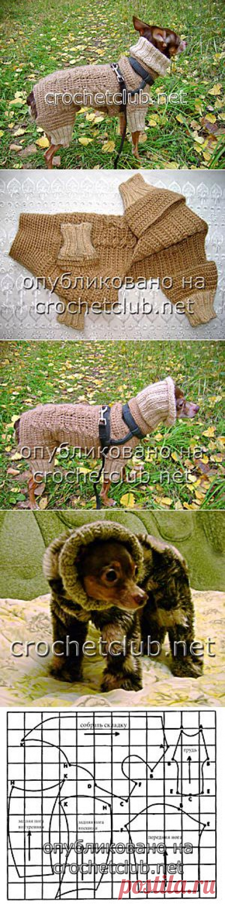 Вязаный костюм для собачки - Вязание Крючком. Блог Настика