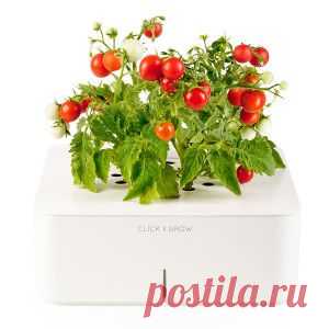 Смартпот Click and Grow и другие умные горшки | Для дачников.ру