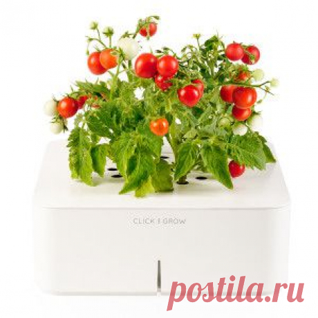 Смартпот Click and Grow и другие умные горшки | Для дачников.ру