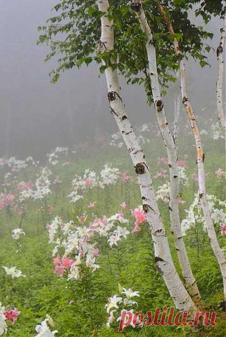 26 марта 2014 г.