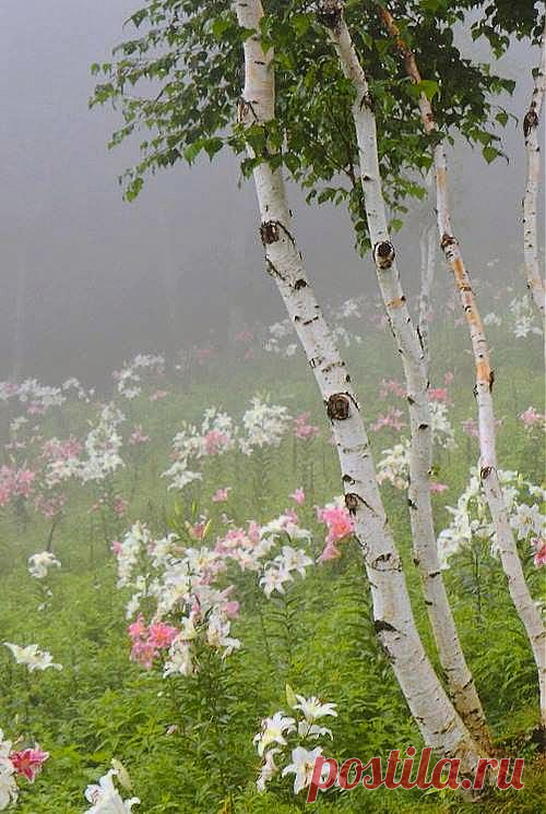 26 марта 2014 г.