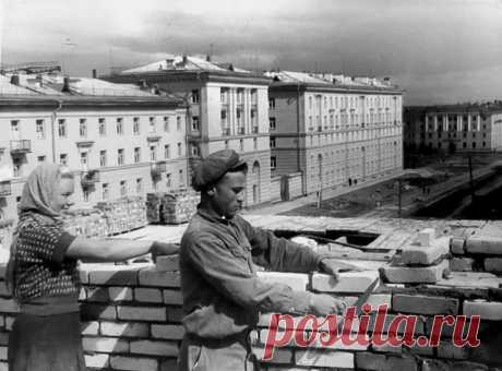 Русские строили эту страну. Человейники в России. Переселение народов? Возможно | Хозяйство Воронова | Дзен