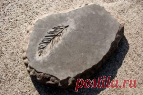 Как сделать отпечаток в бетонных изделиях? Если вы хотите научиться делать красивые бетонные дорожки в саду или просто интересно провести время с детьми, попробуйте сделать отпечаток из листьев, который может разнообразить разные бетонные изделия....