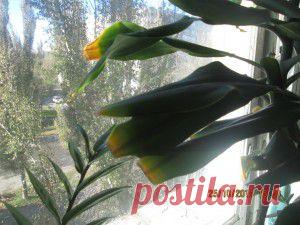 Азбука вязания (как связать носок) | Варварушка-Рукодельница