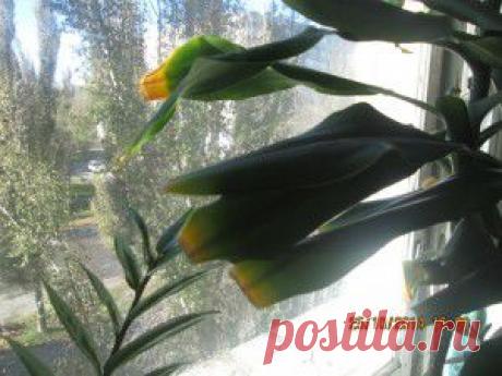 Азбука вязания (как связать носок) | Варварушка-Рукодельница