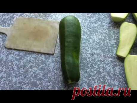 Кабачок ЦУККИНИ АЭРОНАВТ, описание, опыт выращивания.