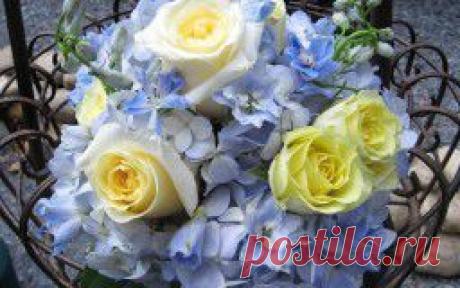 Цветы - обои на рабочий стол.