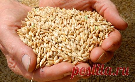 Дешёвый продукт долголетия, который монахи из Тибета едят каждый день! И живут до 100 лет!