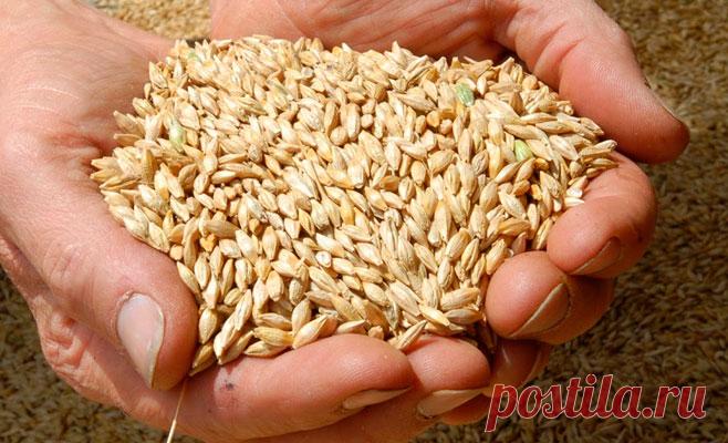 Дешёвый продукт долголетия, который монахи из Тибета едят каждый день! И живут до 100 лет!