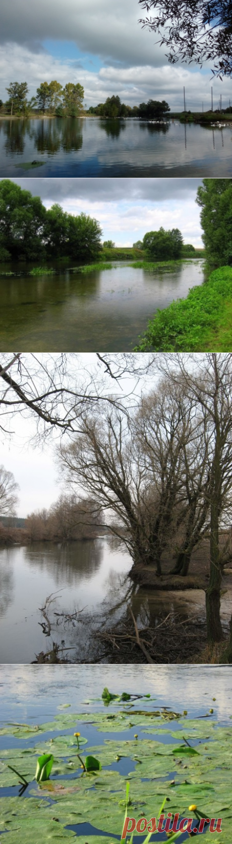 Можно ли добром вспоминать помещиков? | Проза жизни