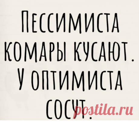 Комар наполовину полон или пуст? https://seoded.livejournal.com/1320143.html