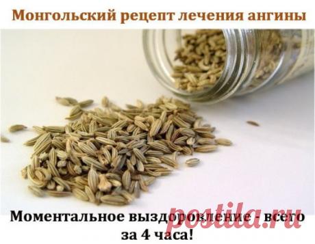 Монгольский рецепт лечения ангины.
Моментальное выздоровление - всего за 4 часа!
Рецепт.
*
 0,5 стакана размолотых в кофемолке зернышек тмина залить 1 стаканом 
воды и кипятить 15 минут. Получается вязкая, напоминающая кофейную гущу,
 масса.
* Процеживаем через ситечко, разбавляем 1/4 стакана воды и
 снова доводим до кипения. Снимаем с огня, добавляем в отвар 1 ст. ложку
 коньяка. Лекарство готово!
* Пить каждые 30 мин по 1 ст. ложке.
Уже
 через 2 часа боль в горле проходит, глотать станови