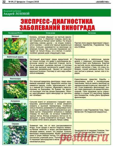 Экспресс-диагностика заболеваний винограда