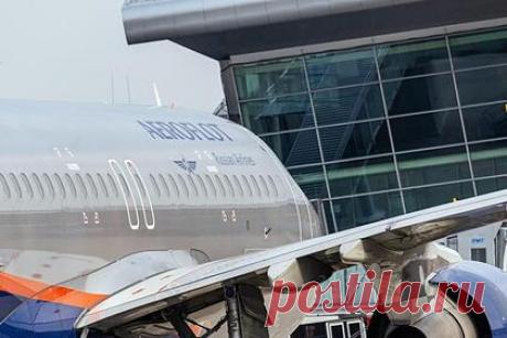 «Аэрофлот» объявил новогодний розыгрыш бесплатных авиабилетов. Российская авиакомпания «Аэрофлот» объявила традиционный розыгрыш сертификатов на бесплатные авиабилеты в любую точку маршрутной сети туда и обратно. Как уточнили в пресс-службе авиаперевозчика, лотерея пройдет на тех рейсах, которые отправятся 31 декабря 2021 года, а в полночь будут находиться в воздухе.