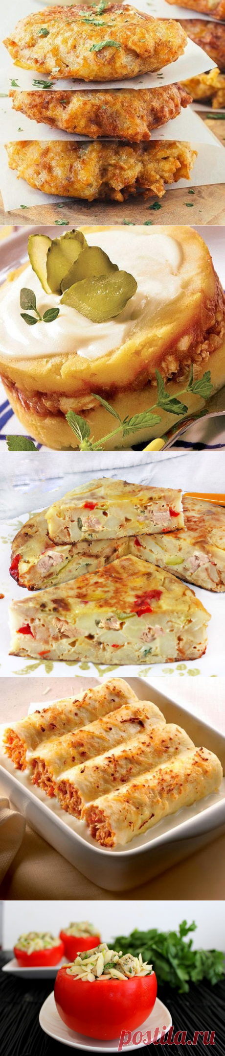 Банка консервированного тунца — настоящее сокровище! Находка на все случаи жизни!