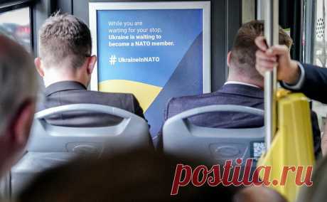 В Германии разъяснили слова Шольца о сроках вступления Украины в НАТО. Слова Шольца, исключившего вступление Украины в НАТО в ближайшие 30 лет, неправильно интерпретировали, они были актуальны до начала военной операции, заявили в кабмине Германии. Членство в альянсе было одной из причин конфликта
