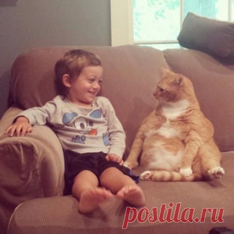 Unwanted Cat became the guardian of this little boy, following him everywhere - MirTesen