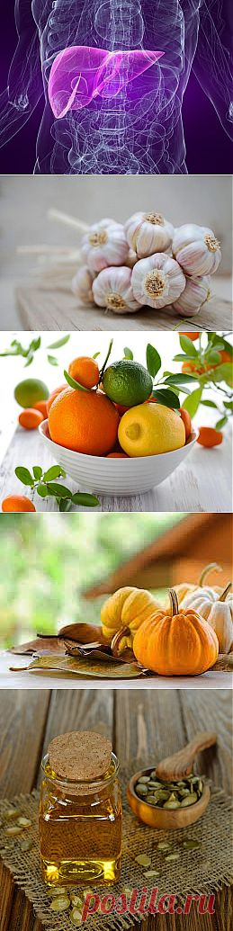 Продукты для очищения печени.