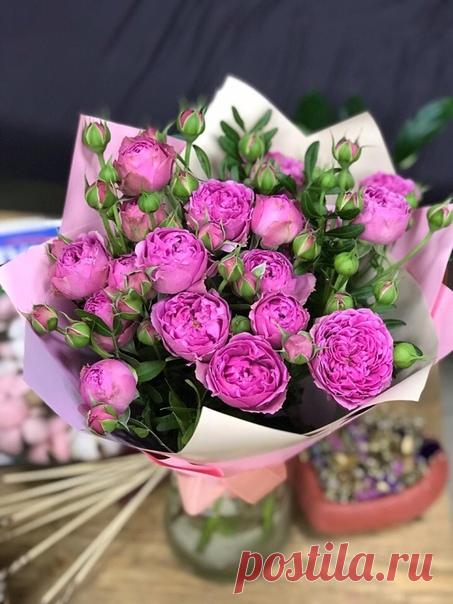 Вы видели рассвет сегодня? Он был прекрасный! А эти розы, словно то самое рождение нового дня! Закат будет просто бомбейский 
Синоптики обещают, что лето будет влажным и жарким!

Всем прекрасного воскресного вечера!

#фантазиясаранск #саранск #цветочныесалоны #цветы #букеты