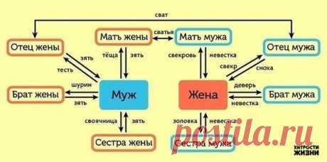 Как разобраться в родственниках.