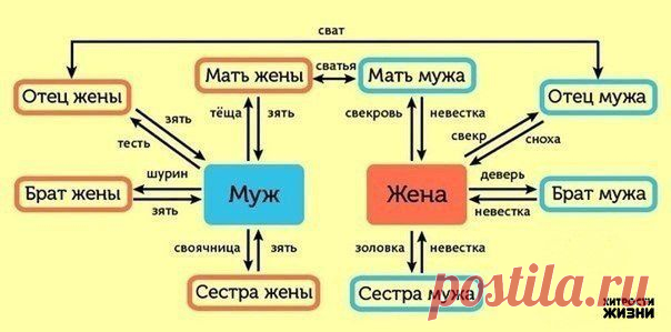 Хитрости жизни