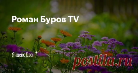 Роман Буров TV | Яндекс Дзен Полезный канал про дачу, сад и огород. Спасибо за подписку! 
Заходите на мой 1 ютьюб канал https://www.youtube.com/channel/UCM_TNwx2wm8p2MHvhMW1eDw?view_as=subscriber 
И на мой 2 ютьюб канал https://www.youtube.com/channel/UClFe_7IpBqi5ygDreeyoRdA?view_as=subscriber
