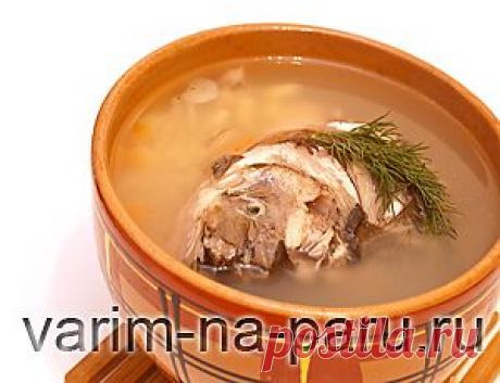 Рецепт ухи в мультиварке | Варим на пару